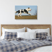 Border Collie Running 2 Leinwanddruck (Insitu (Schlafzimmer))
