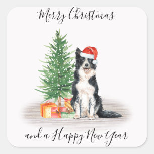 Border Collie Santa Dog Frohe Weihnachten Quadratischer Aufkleber