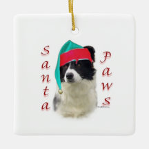 Border Collie Santa Paws