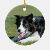 Border Collie schlüpfen Keramik Ornament (Vorne)
