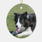 Border Collie schlüpfen Keramik Ornament (Links)