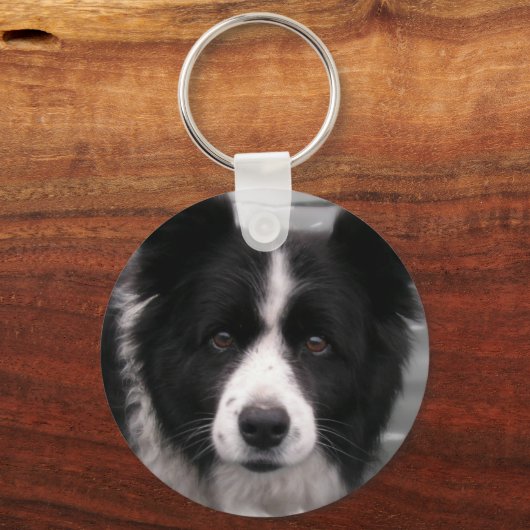 Border Collie Schlüsselanhänger (Vorderseite)