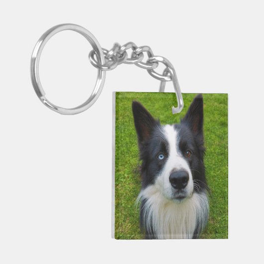 Border Collie Schlüsselanhänger (Vorderseite links)