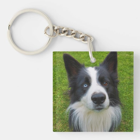 Border Collie Schlüsselanhänger (Vorderseite)