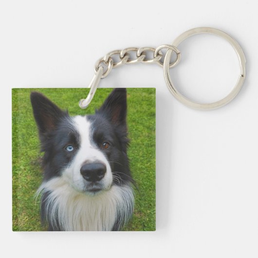 Border Collie Schlüsselanhänger (Rückseite)