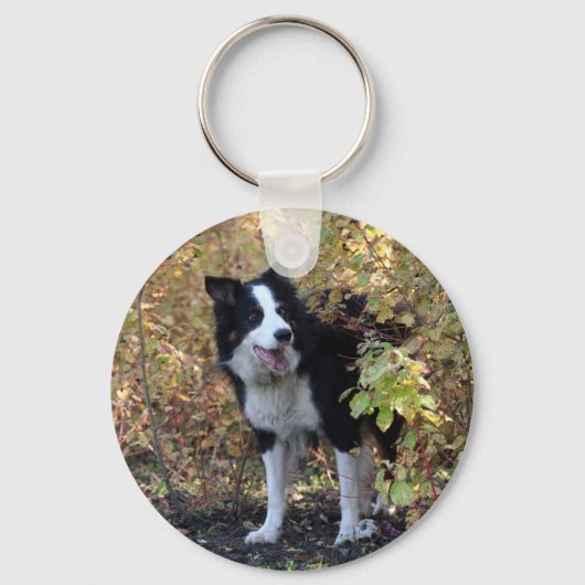 Border Collie Schlüsselanhänger (Vorderseite)