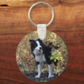 Border Collie Schlüsselanhänger (Vorderseite)