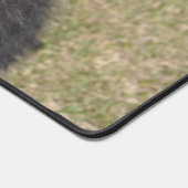 Border Collie Schreibtischunterlage (Ecke)