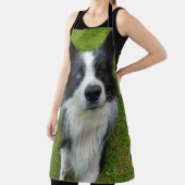 Border Collie Schürze (InSitu)