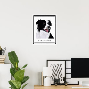 Border Collie Schwarz und Weiß Haustier Hund Poster