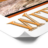 Border Collie Share A Beer Poster (Ecke)