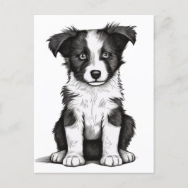 Border Collie Sheepdog Australian Shephard Puppy Postkarte