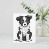 Border Collie Sheepdog Australian Shephard Puppy Postkarte (Stehend Vorderseite)