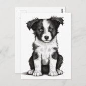 Border Collie Sheepdog Australian Shephard Puppy Postkarte (Vorne/Hinten)