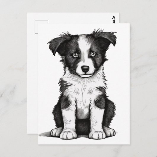 Border Collie Sheepdog Australian Shephard Puppy Postkarte (Vorne/Hinten)