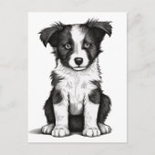 Border Collie Sheepdog Australian Shephard Puppy Postkarte (Vorderseite)