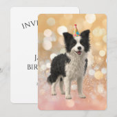 Border Collie Sheepdog Einladung (Vorne/Hinten)