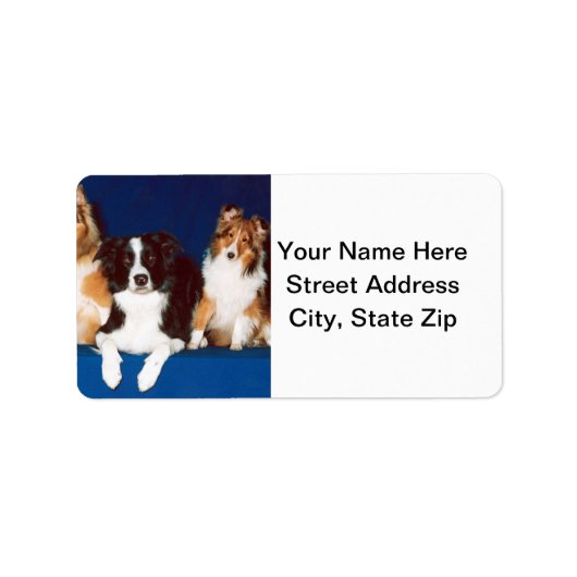 Border Collie & Shelties Adressaufkleber (Vorne)