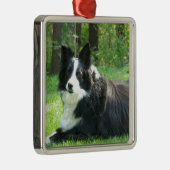 Border-Collie Silbernes Ornament (Rechts)