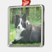 Border-Collie Silbernes Ornament (Links)