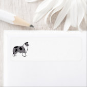 Border Collie silo blauer Merle und weiß (Insitu)