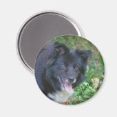Border Collie Smilingcute Dog Magnet (Vorderseite/Rückseite)