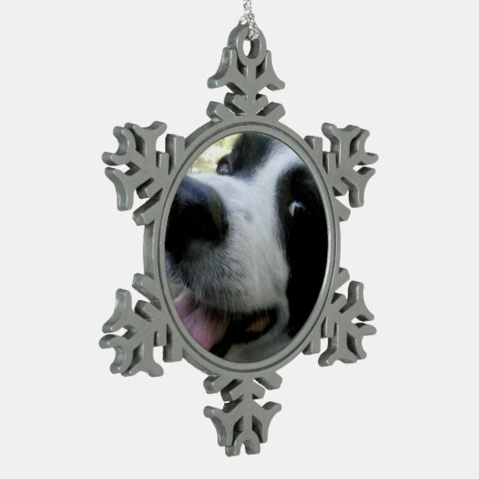 Border Collie Snowflake Ornament (Links)