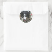 Border Collie Stare Docker Runder Aufkleber (Tasche)