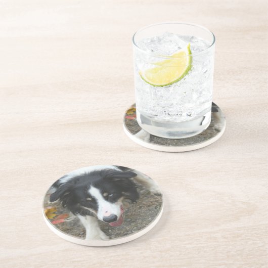 Border Collie Stare Dog Drink Untersetzer (Seite)