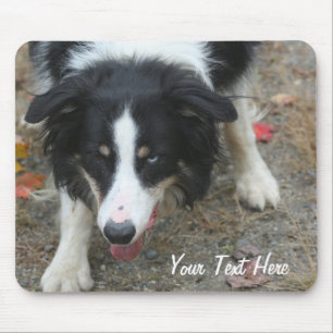 Border Collie Stare Dog Mousepad