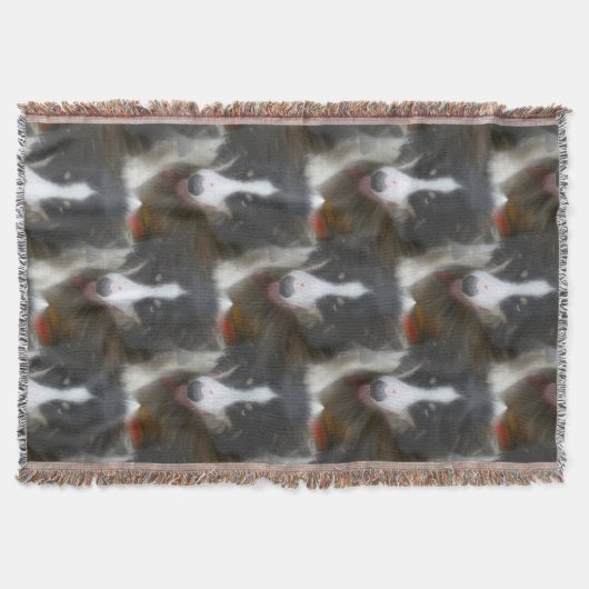 Border Collie Stare Dog Pattern Decke (Vorderseite)