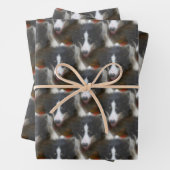 Border Collie Stare Dog Pattern Geschenkpapier Set (Beispiel)
