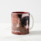 Border Collie Stare Personalisiert Zweifarbige Tasse (VorderseiteRechts)