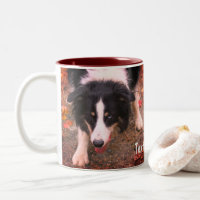 Border Collie Stare Personalisiert