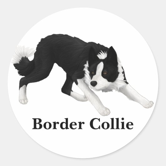 Border Collie Stare Runder Aufkleber (Vorderseite)