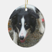 Border-Collie-Starren-Hund Keramik Ornament (Links)