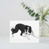 Border-Collie-Starren Postkarte (Stehend Vorderseite)