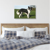 Border Collie Stehend Leinwanddruck (Insitu (Schlafzimmer))