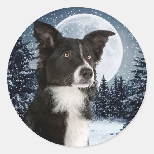 Border Collie Sticker (Vorderseite)
