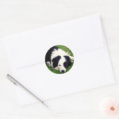 Border Collie Sticker (Umschlag)