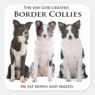 Border Collie Stickers
