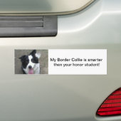 Border-Collie-Stoßdämpfer sticke Autoaufkleber (Auf Auto)