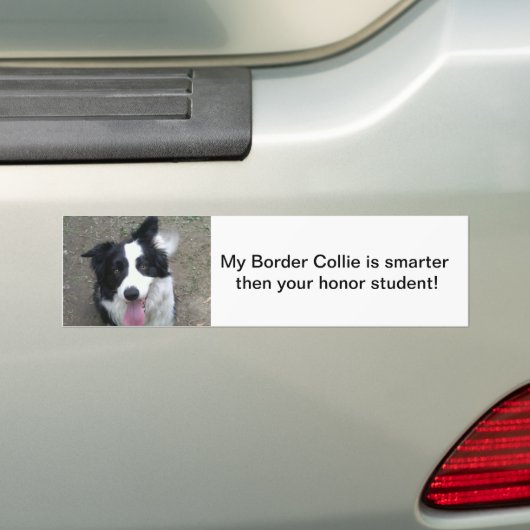 Border-Collie-Stoßdämpfer sticke Autoaufkleber (Auf Auto)