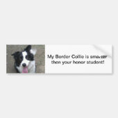 Border-Collie-Stoßdämpfer sticke Autoaufkleber (Vorne)