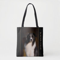 Border-Collie