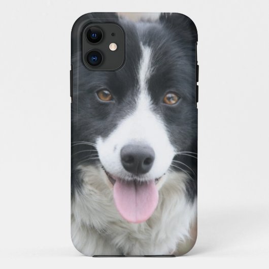 Border-Collie-Telefon-Kasten Case-Mate iPhone Hülle (Rückseite)