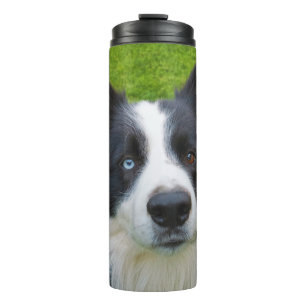 Border Collie Thermosbecher