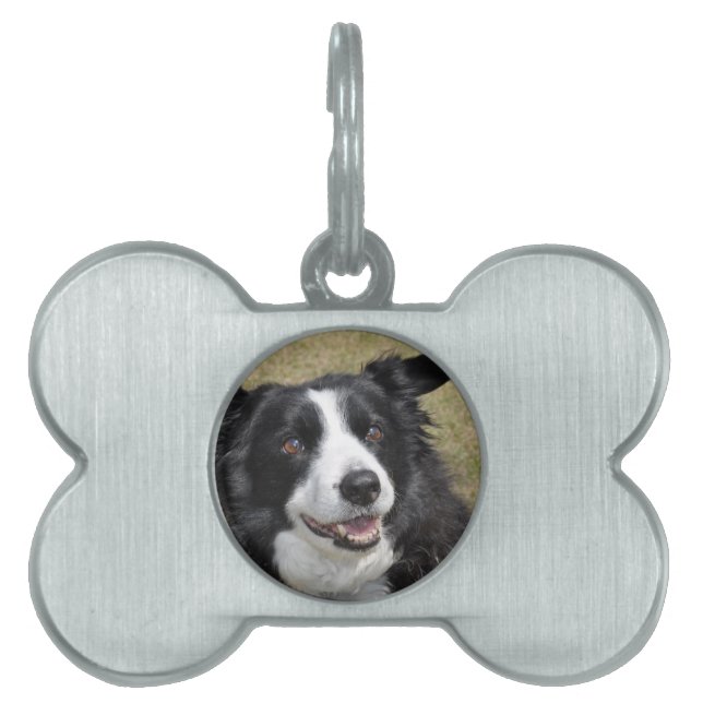 Border Collie Tiermarke (Vorderseite)