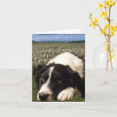 Border-Collie träumt Notecard Karte (Gelbe Blume)
