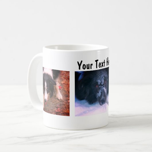 Border Collie Trio Dog Fotografie Kaffeetasse (Vorderseite Links)
